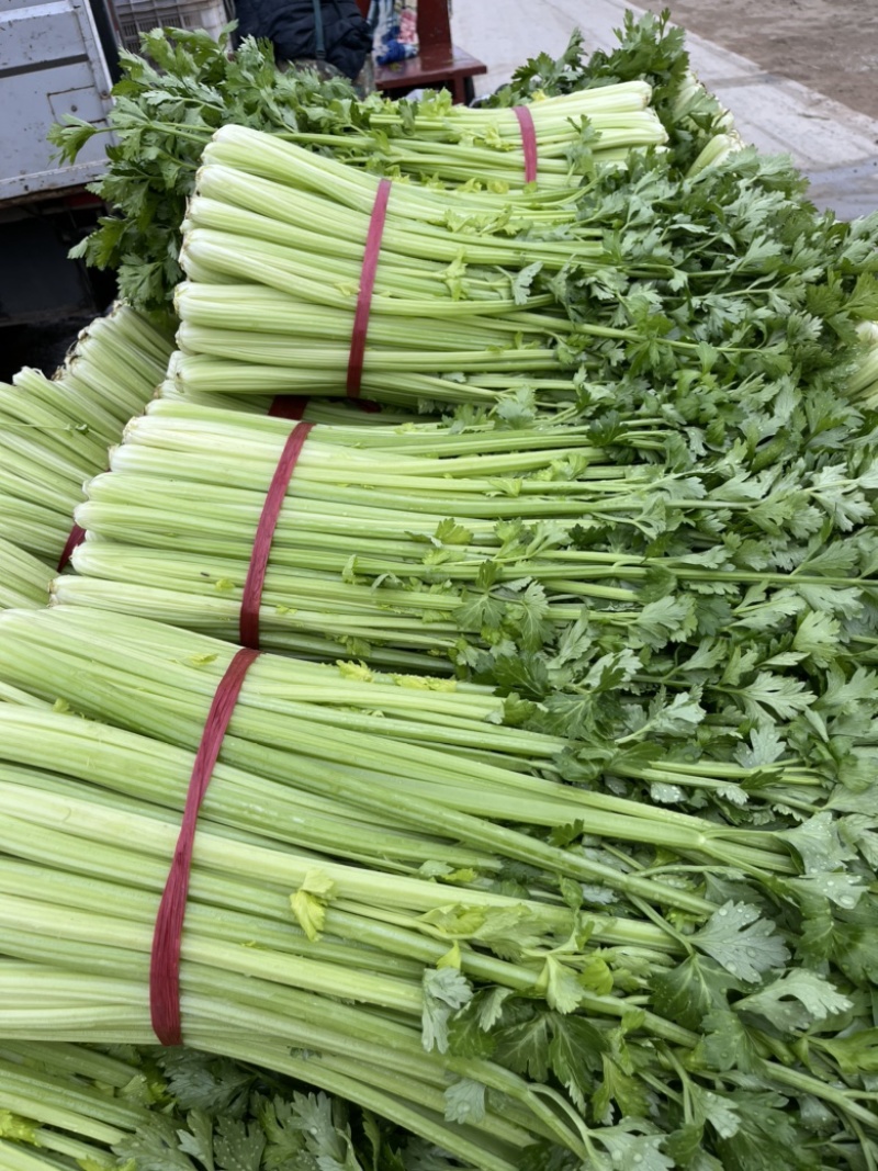 湖南商贸：新时代下的繁荣与挑战